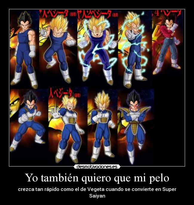 Yo también quiero que mi pelo - crezca tan rápido como el de Vegeta cuando se convierte en Super Saiyan