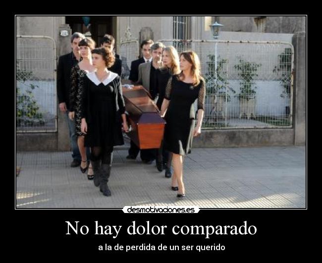 carteles dolor dolor desmotivaciones