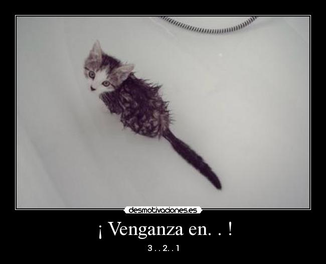 ¡ Venganza en. . ! - 