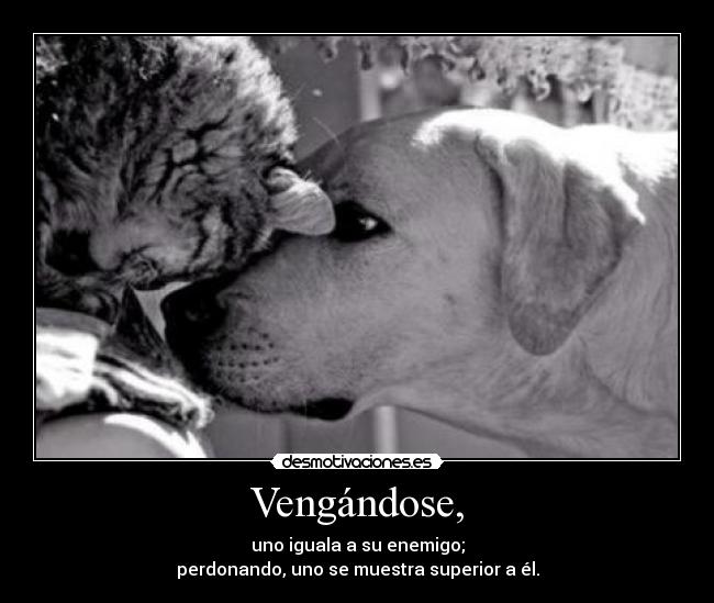 Vengándose, - uno iguala a su enemigo;
perdonando, uno se muestra superior a él.