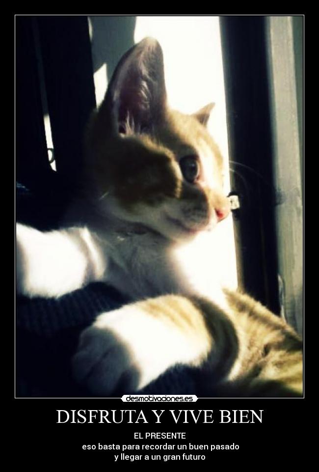 DISFRUTA Y VIVE BIEN - EL PRESENTE
eso basta para recordar un buen pasado
y llegar a un gran futuro