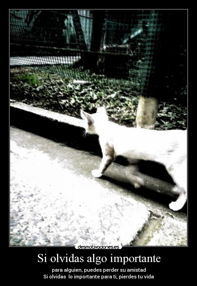 Si olvidas algo importante - para alguien, puedes perder su amistad
Si olvidas lo importante para ti, pierdes tu vida