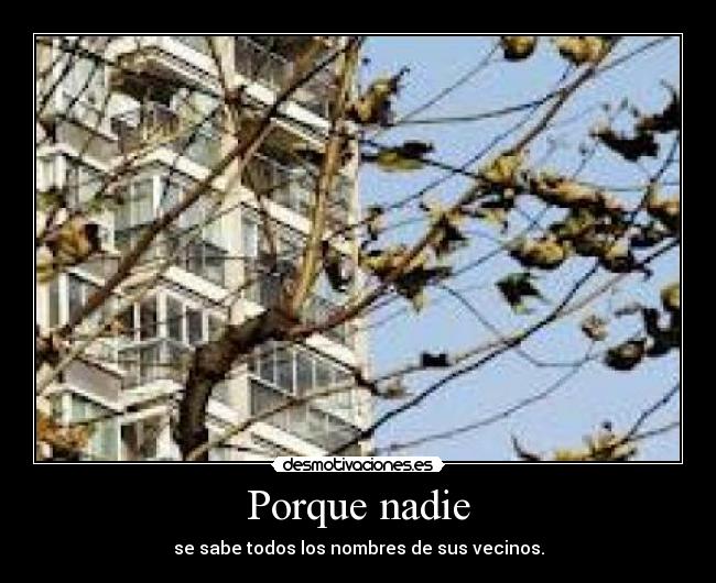 Porque nadie - 