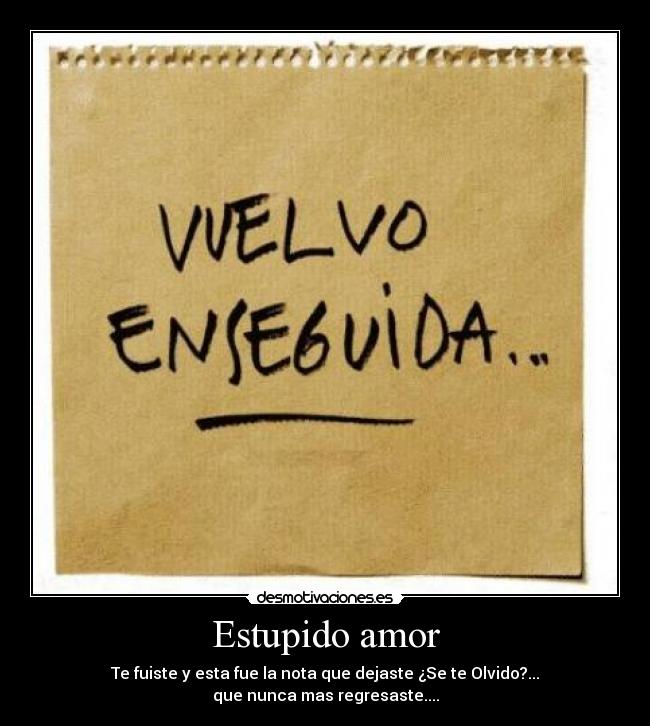 Estupido amor - 