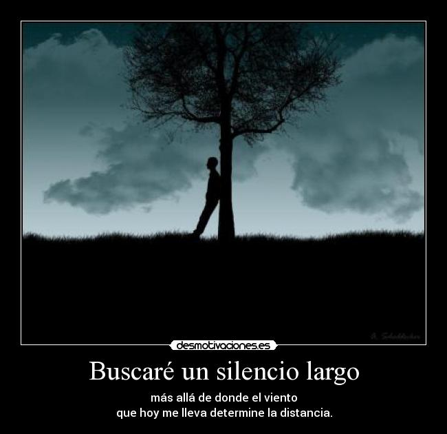 carteles silencio lrc1894 viajo con viento buscando silencio para oir voz desmotivaciones