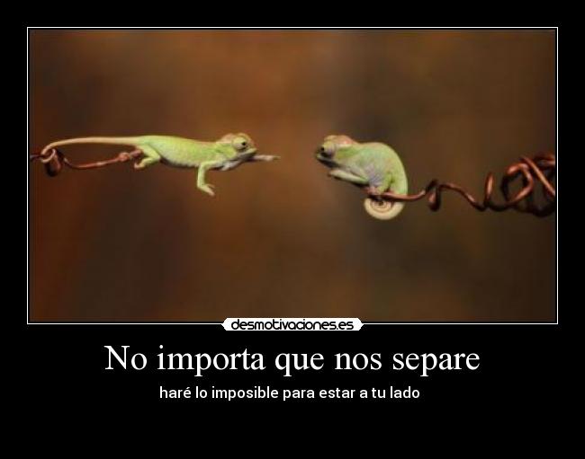 No importa que nos separe - 