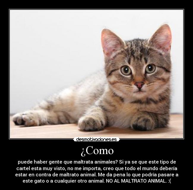¿Como - 