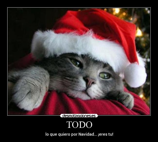 TODO - lo que quiero por Navidad... ¡eres tu!