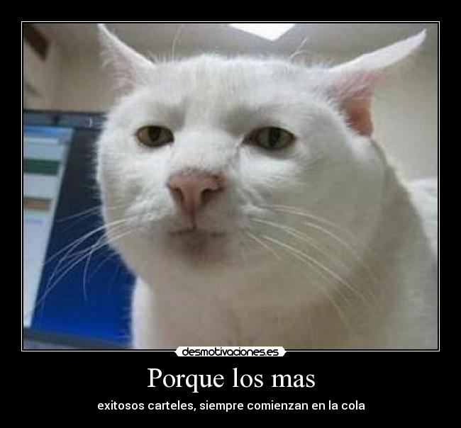 Porque los mas - exitosos carteles, siempre comienzan en la cola
