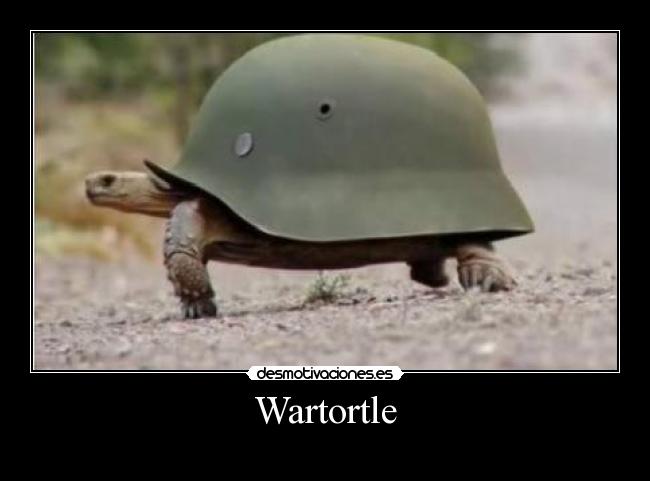 Wartortle -