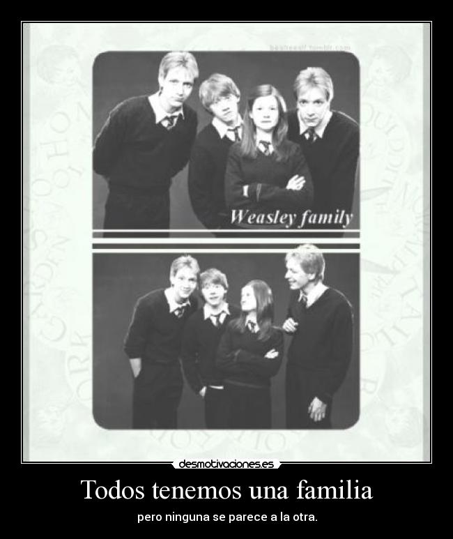 Todos tenemos una familia -