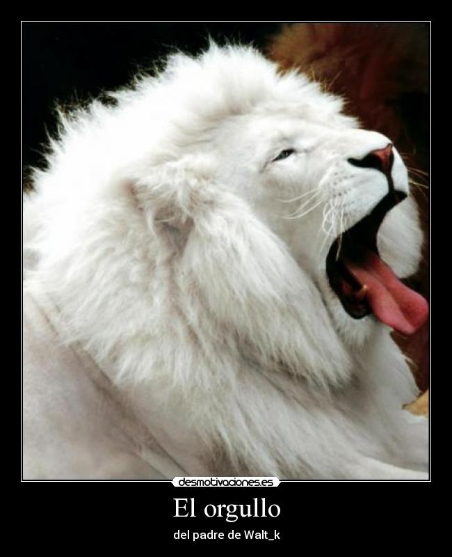 El orgullo - del padre de Walt_k