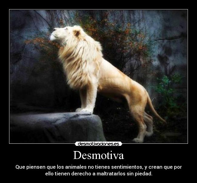 Desmotiva - Que piensen que los animales no tienes sentimientos, y crean que por
ello tienen derecho a maltratarlos sin piedad.