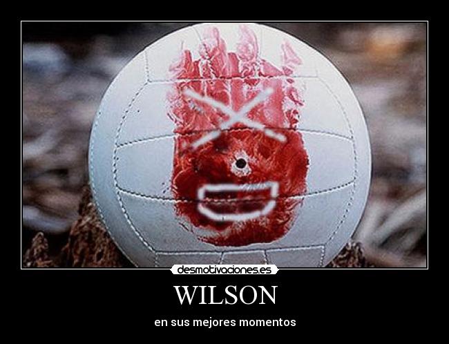 WILSON - 
