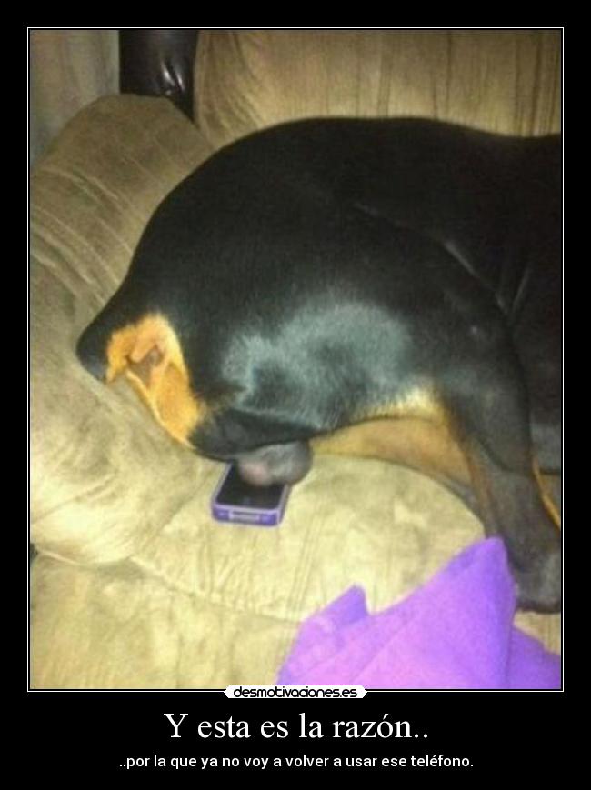 Y esta es la razón.. - ..por la que ya no voy a volver a usar ese teléfono.