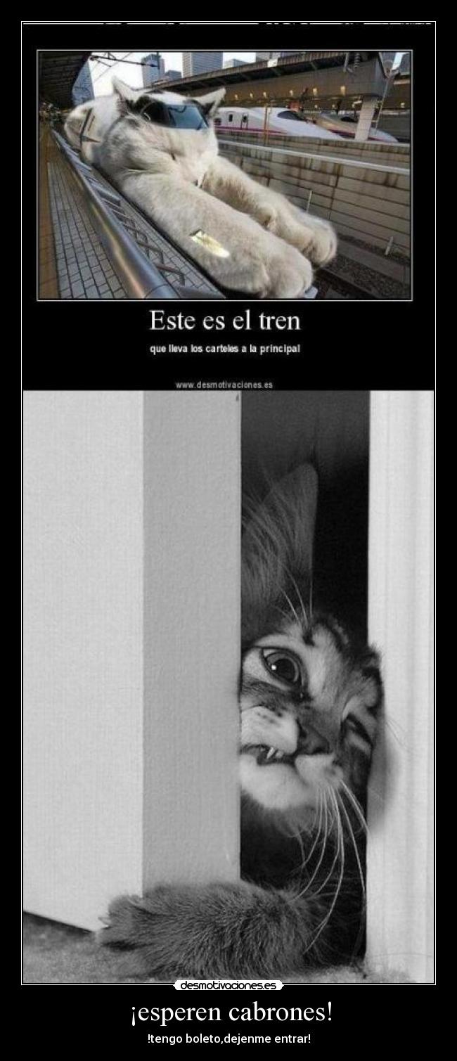 ¡esperen cabrones! - !tengo boleto,dejenme entrar!