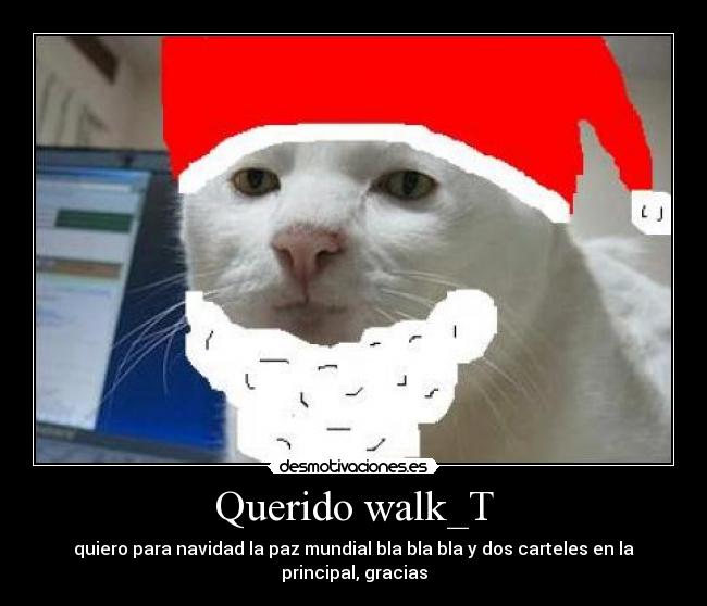 Querido walk_T - 