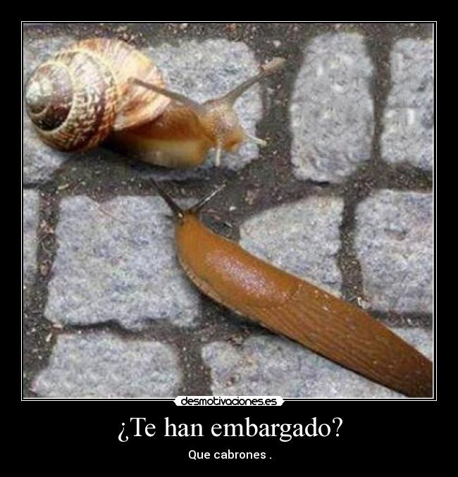 ¿Te han embargado? - 