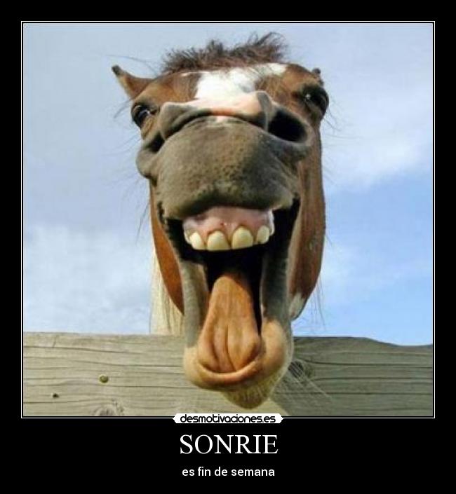 SONRIE -