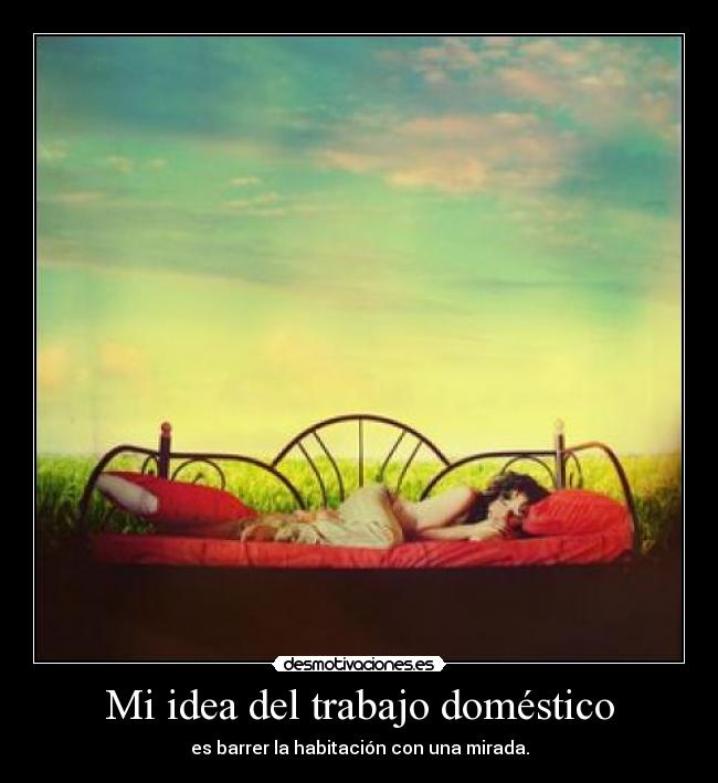 Mi idea del trabajo doméstico - es barrer la habitación con una mirada.
