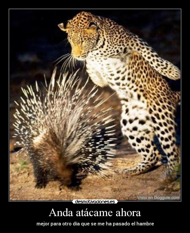 Anda atácame ahora - mejor para otro día que se me ha pasado el hambre