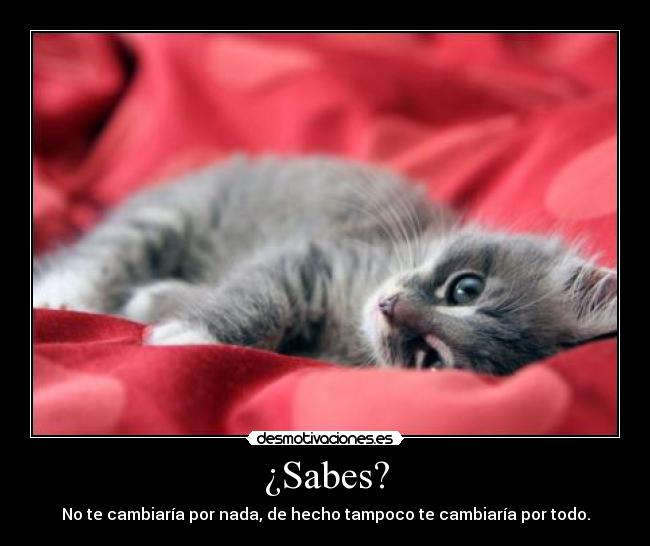 ¿Sabes? - No te cambiaría por nada, de hecho tampoco te cambiaría por todo.