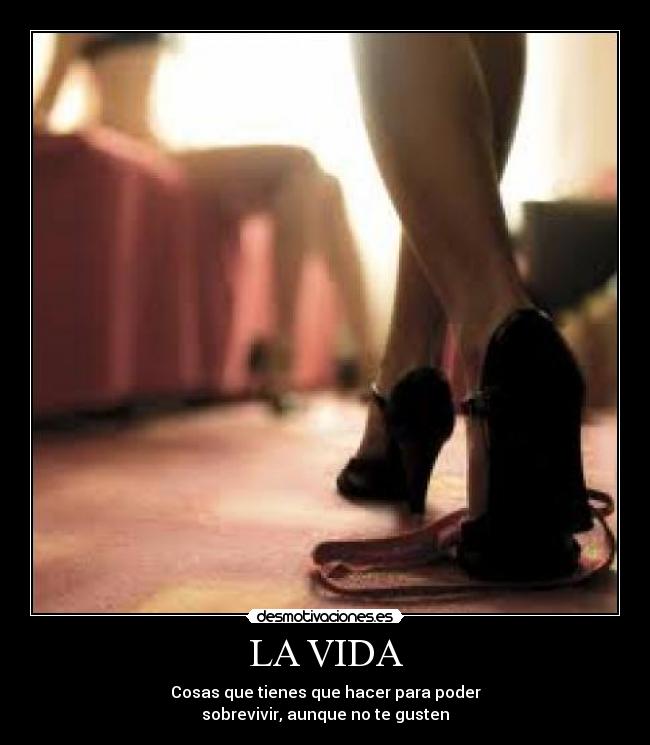 LA VIDA -