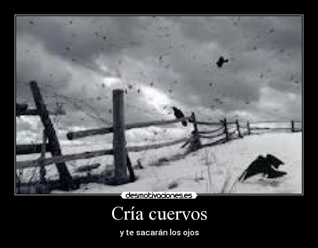 Cría cuervos - y te sacarán los ojos