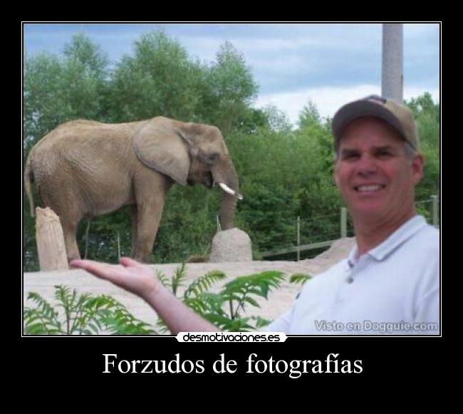 Forzudos de fotografías -
