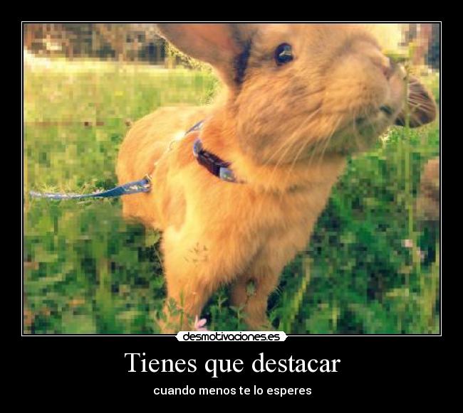 Tienes que destacar -