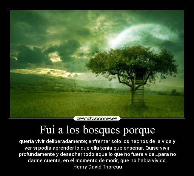 carteles henry david thoreau desmotivaciones