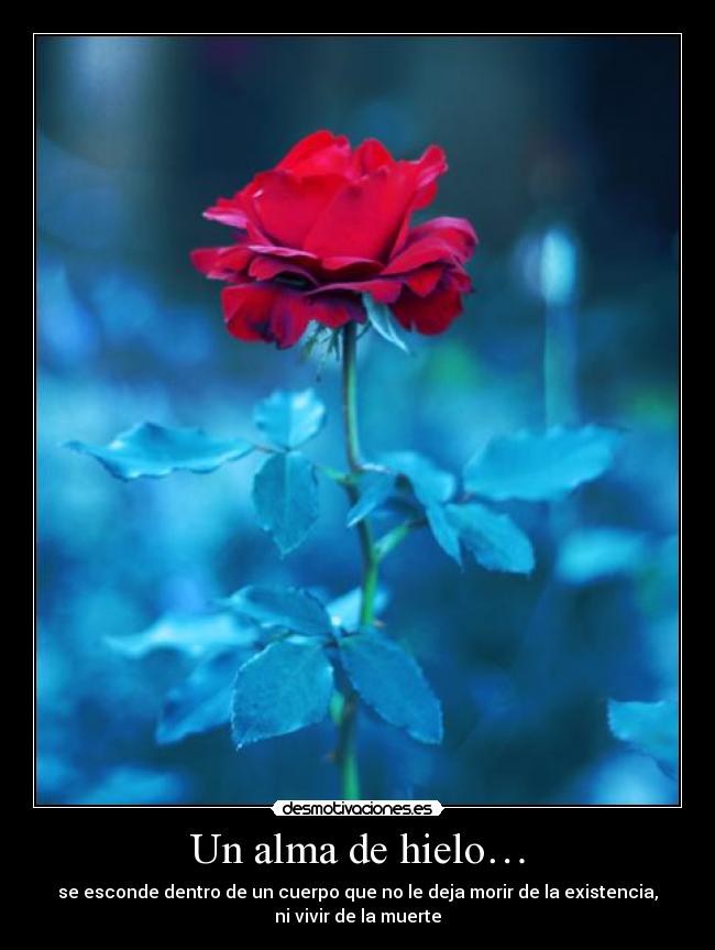 Un alma de hielo… -