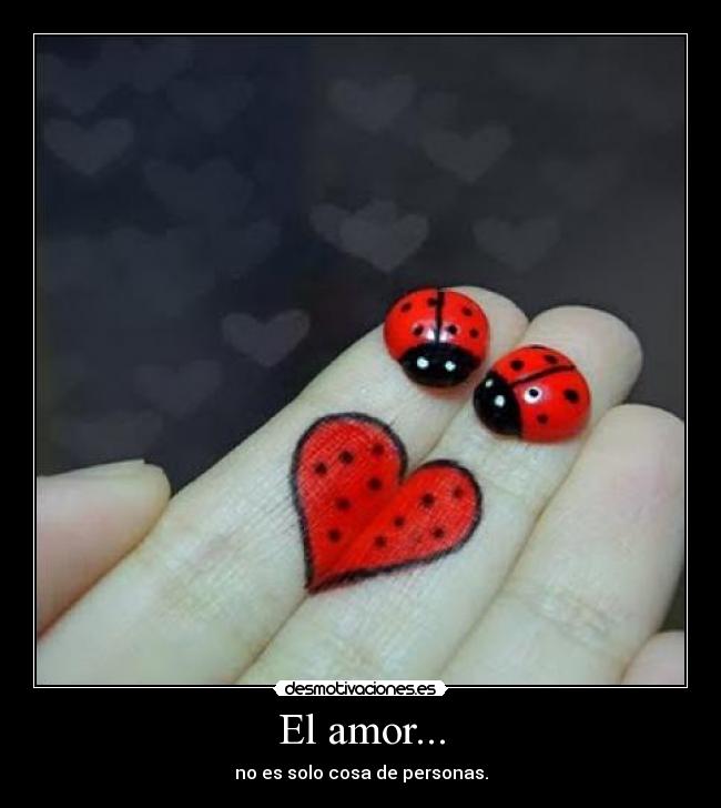 El amor... -