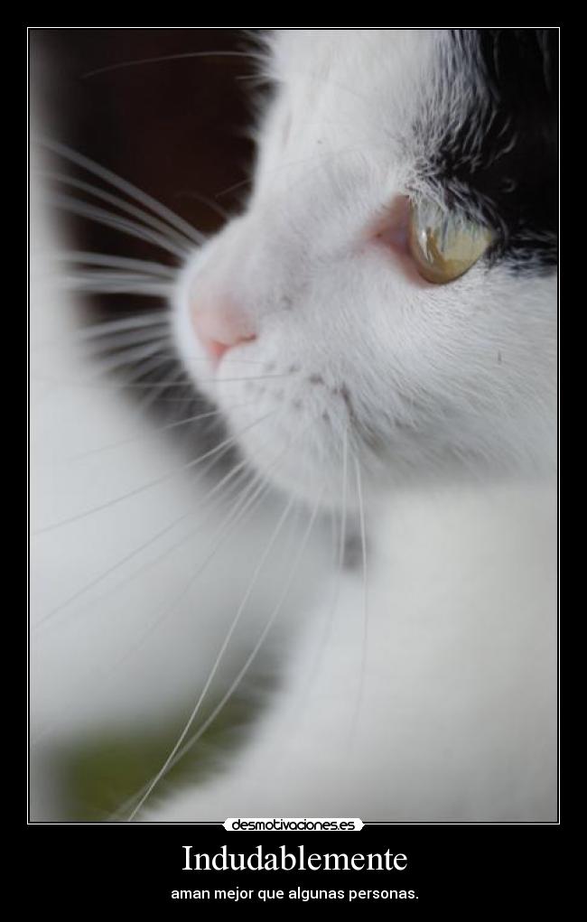 Indudablemente - aman mejor que algunas personas.