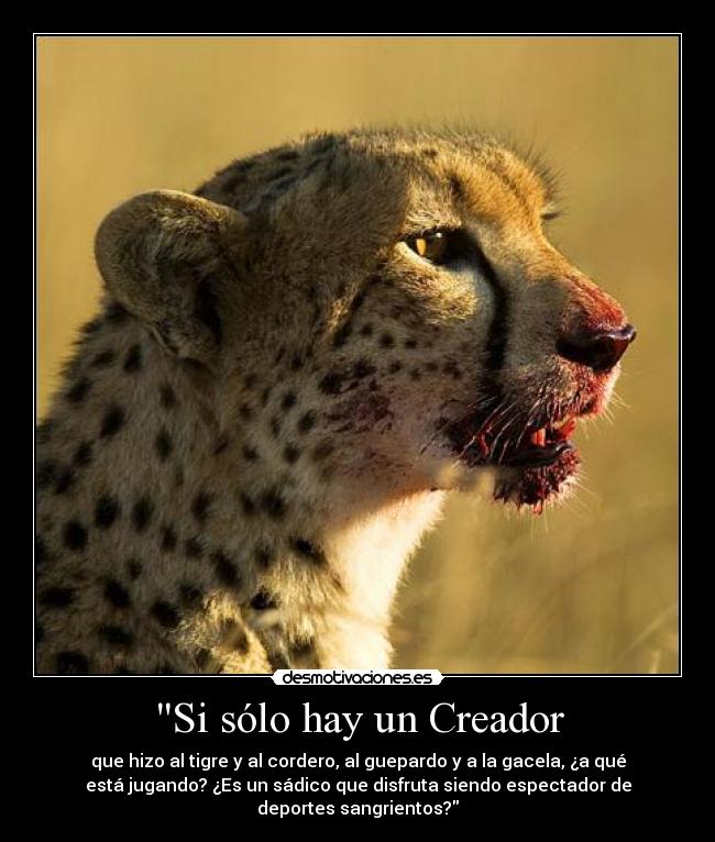 Si sólo hay un Creador - que hizo al tigre y al cordero, al guepardo y a la gacela, ¿a qué
está jugando? ¿Es un sádico que disfruta siendo espectador de
deportes sangrientos?