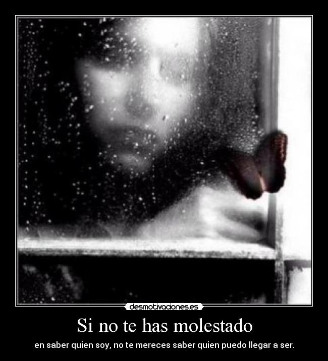 Si no te has molestado -