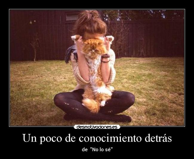 Un poco de conocimiento detrás - 