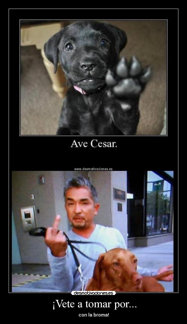 carteles cesar perro millan desmotivaciones