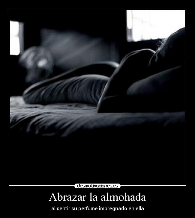 almohada para abrazar abrazar la almohada desmotivaciones almohada para abrazar abrazar la almohada desmotivaciones