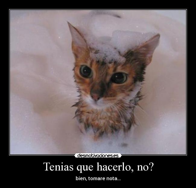 Tenias que hacerlo, no? - 