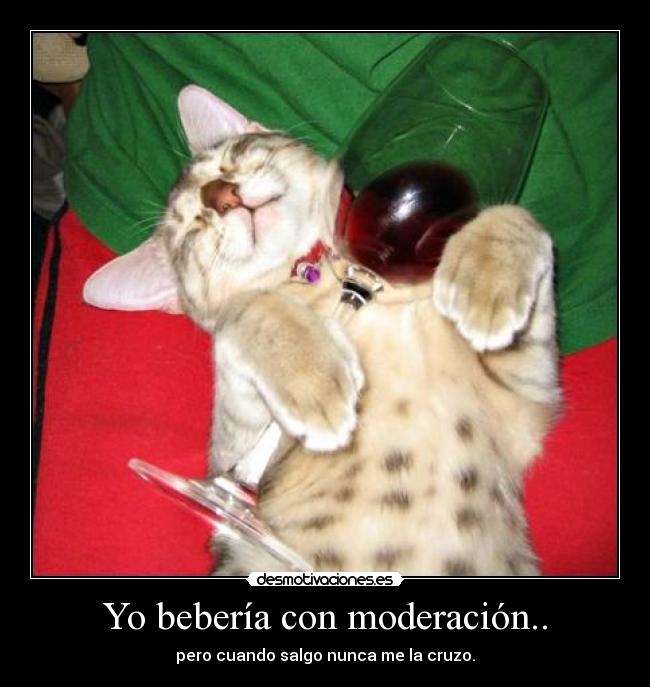 Yo bebería con moderación.. - 