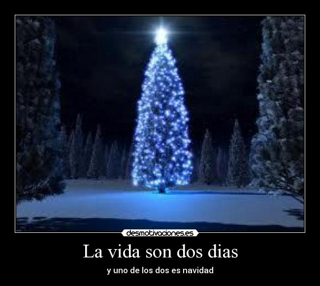 La vida son dos dias - y uno de los dos es navidad