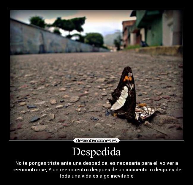 Despedida - No te pongas triste ante una despedida, es necesaria para el volver a
reencontrarse; Y un reencuentro después de un momento o después de
toda una vida es algo inevitable