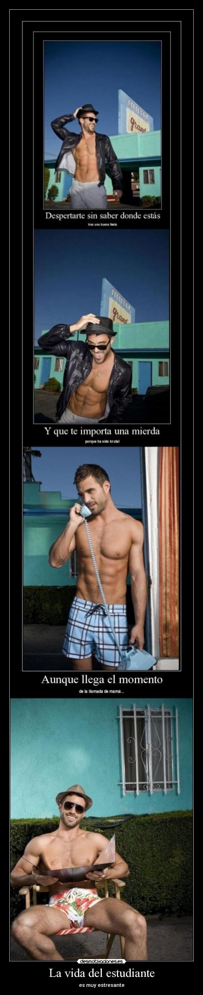 La vida del estudiante -