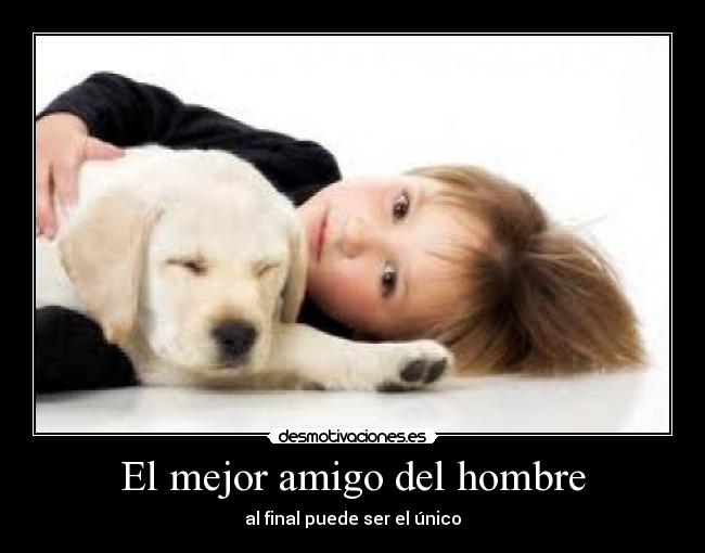 El mejor amigo del hombre - 