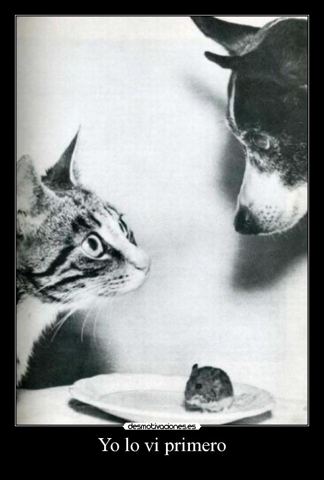 Yo lo vi primero -