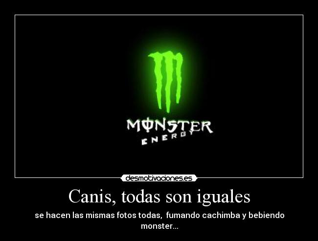 Canis, todas son iguales -