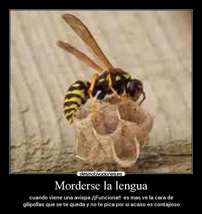 Morderse la lengua - cuando viene una avispa ¡!¡Funciona!! es mas ve la cara de
gilipollas que se te queda y no te pica por si acaso es contajioso