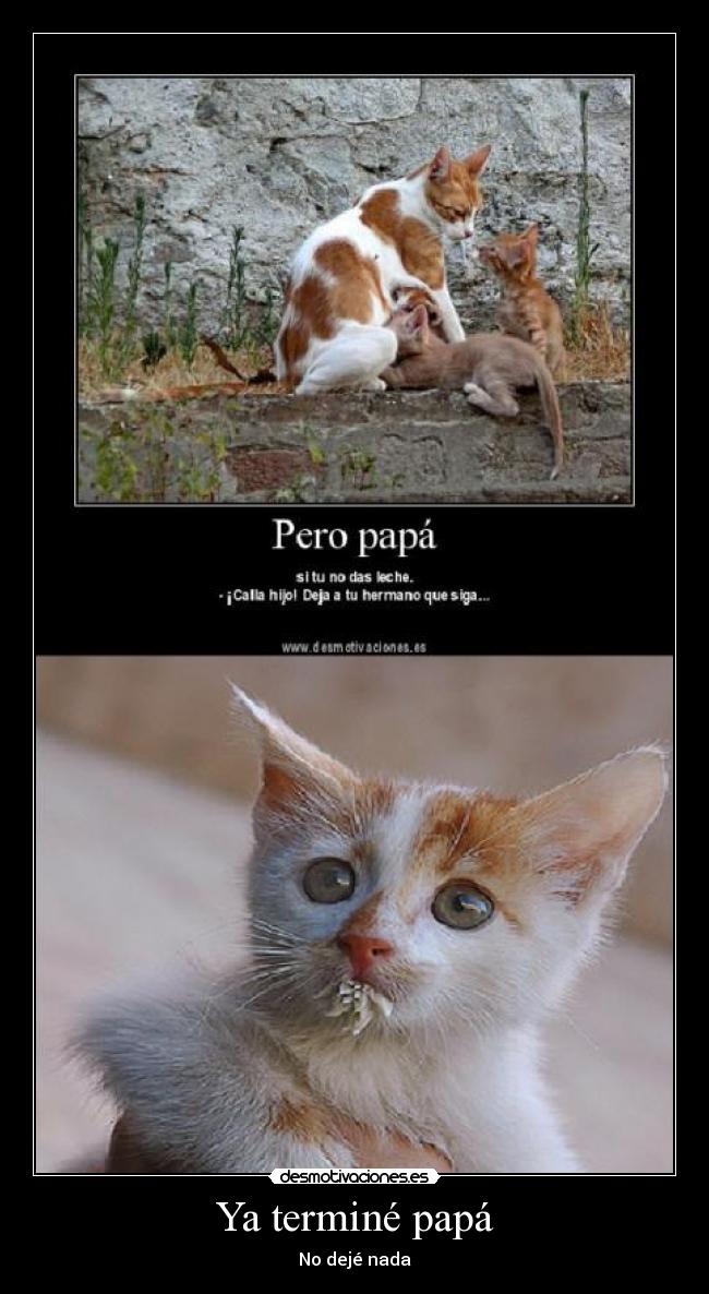 Ya terminé papá - 