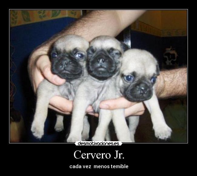 Cervero Jr. - cada vez  menos temible